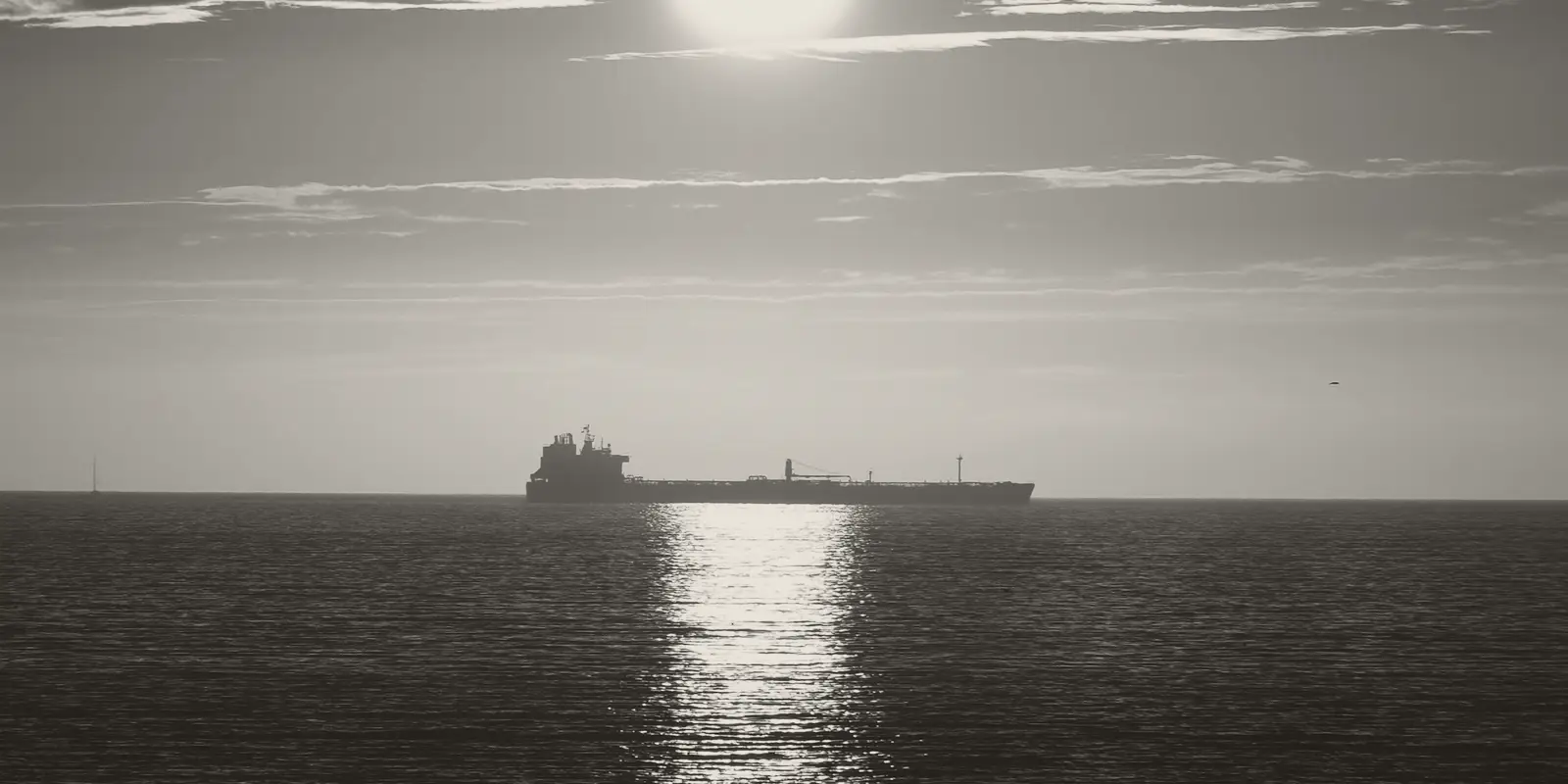 A cargo ship on the horizon at sunset.